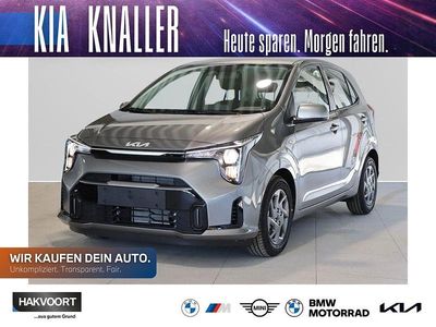 Neu Kia Picanto Vision 68 PS (50 kW) 2025 (m7g) astro grey m Kleinwagen