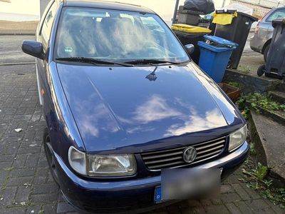 VW Polo