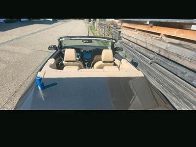 Gebraucht 2007 Ford Focus Cabriolet Cabrio | 2.600 € (Fairer Preis)