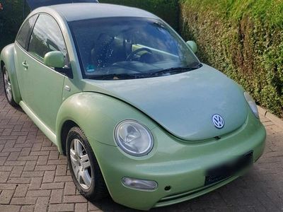 VW Beetle