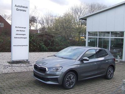Grau Gebraucht 2023 Skoda Fabia Tour Kleinwagen | 24.599 €