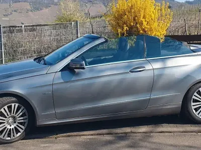 Gebraucht Mercedes E220