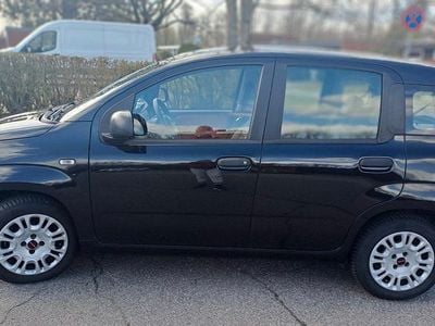 Gebraucht Fiat Panda Easy 69 PS (50 kW) 2016 Schwarz Kleinwagen