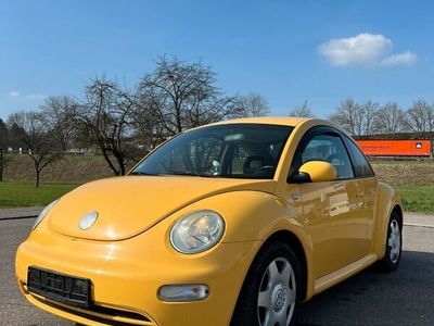 gebraucht VW Beetle NewEn Vogue / Service NEU