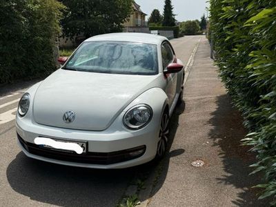 VW Beetle