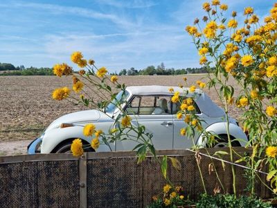 gebraucht VW Käfer Cabrio