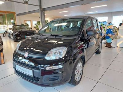 gebraucht Fiat Panda Urban Hybrid DAB PDC