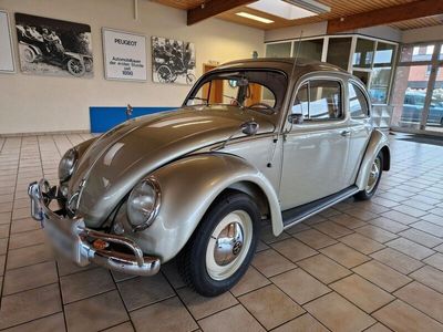 gebraucht VW Käfer mit Faltdach