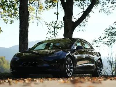 Brugt Tesla Model 3 Performance 338 kW (460 HK) 2021 Sort Sedan