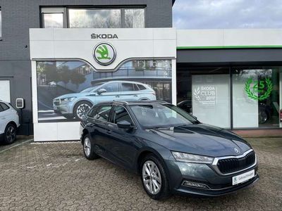 gebraucht Skoda Octavia First Edition