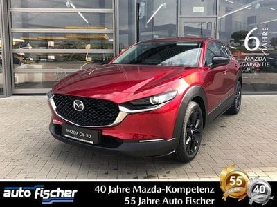 Neu Mazda CX-30 Go 186 PS (136 kW) 2026 Rot SUV