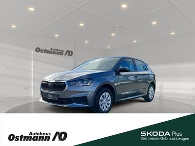 gebraucht Skoda Fabia 48kw *LED*SmartLink*SHZ*PDC*Freisprechein