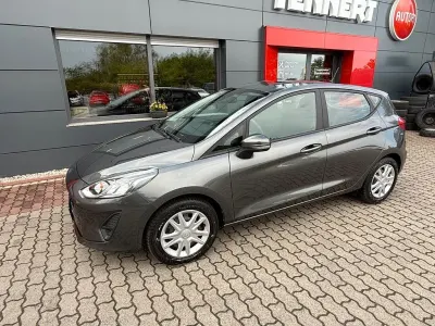 Gebraucht Ford Fiesta Trend 71 PS (52 kW) 2018 Grau Kleinwagen