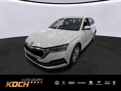 Weiß Gebraucht 2023 Skoda Octavia Style Kombi | 23.630 € (Fairer Preis)