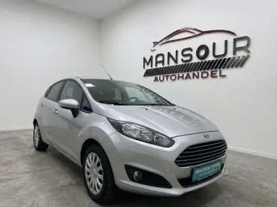 Used Ford Fiesta Trend 65 HP (47 kW) 2013 Silver Hatchback