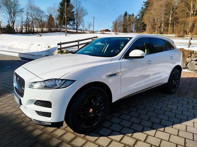 Gebraucht Jaguar F-Pace 182 PS (133 kW) 2017 Weiß SUV