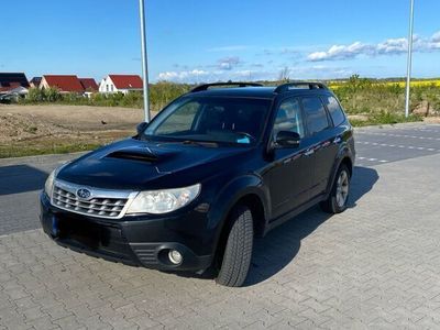 gebraucht Subaru Forester 2.0D