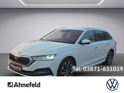 Gebraucht Skoda Octavia Style 150 PS (110 kW) 2022 Candy weiss Kombi