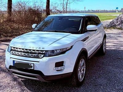 Gebraucht Land Rover Range Rover evoque Pure 150 PS (110 kW) 2013 Weiß SUV