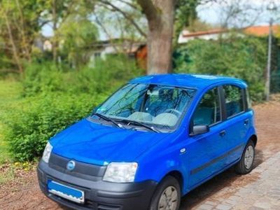 gebraucht Fiat Panda 1.1 8V TÜV HU 10/2025