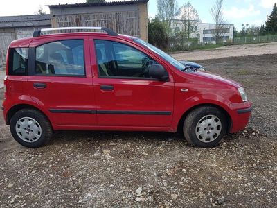Usata Fiat Panda 60 CV (44 kW) 2010 Rosso Utilitaria