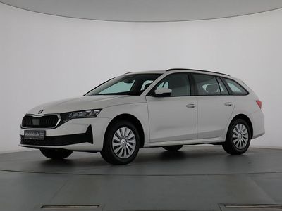 Candyweiß Neu 2025 Skoda Octavia Kombi | 25.350 € (Superpreis)