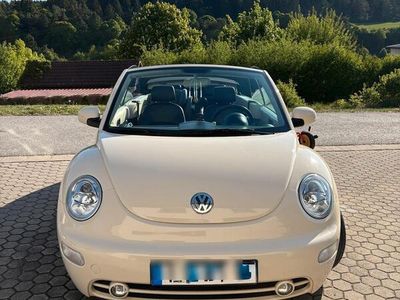 VW Beetle