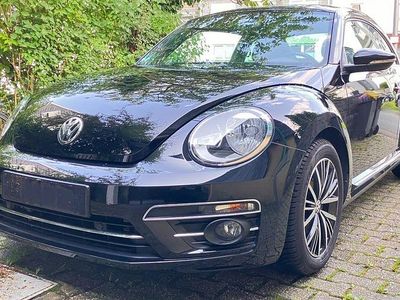 VW Beetle