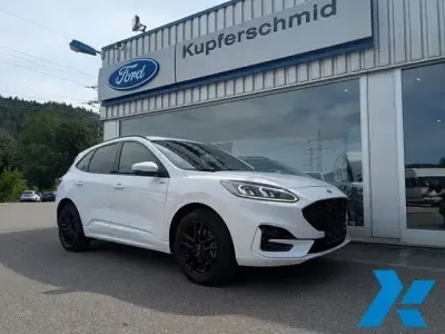 Second-hand Ford Kuga ST-Line X 224 CP (164 kW) 2020 Alb SUV