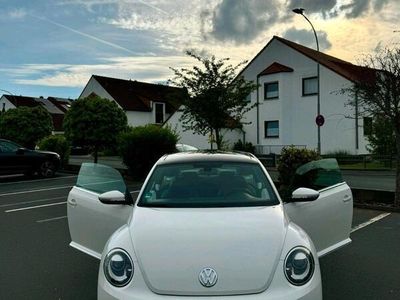 VW Beetle