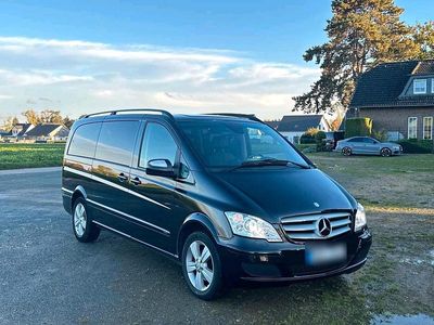 Mercedes Viano