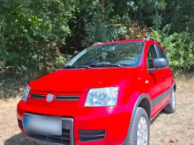 Gebraucht Fiat Panda 4x4