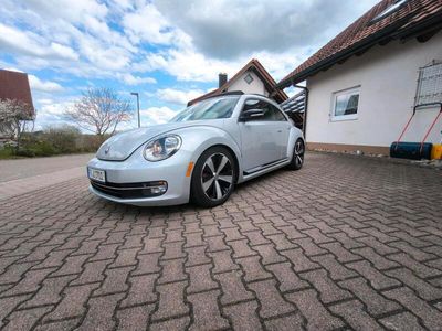 VW Beetle