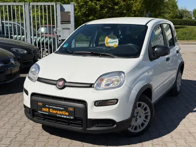 Gebraucht Fiat Panda Cross Cross 69 PS (50 kW) 2024 Weiß Kleinwagen
