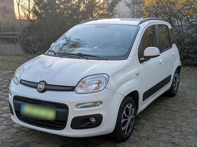 Gebraucht Fiat Panda Pop 69 PS (50 kW) 2012 Weiß Kleinwagen