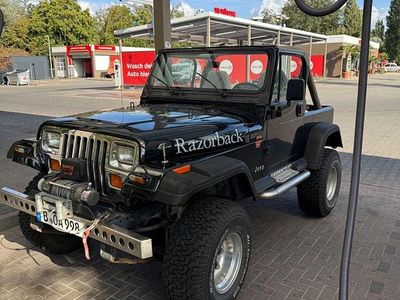 Gebraucht Jeep Wrangler 178 PS (130 kW) 1991 Schwarz SUV