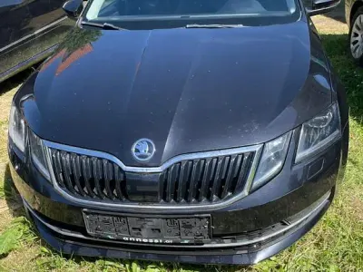 Gebraucht Skoda Octavia Ambition 150 PS (110 kW) 2018 Schwarz Kombi