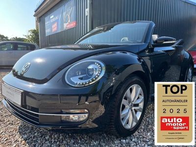 VW Beetle