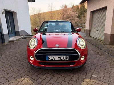 Gebraucht Mini Cooper 136 PS (100 kW) 2020 Rot Kleinwagen