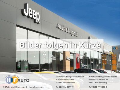 Neu Fiat Panda Cross Cross 65 PS (47 kW) 2026 Gruen Kleinwagen
