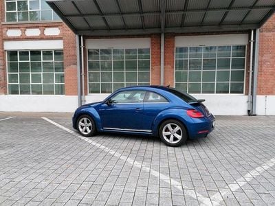 VW Beetle