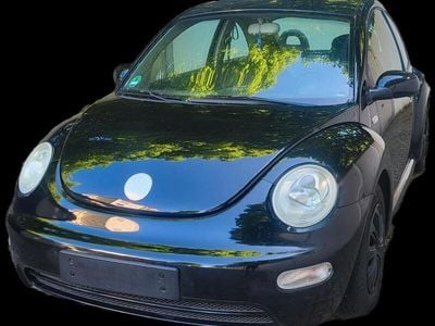 VW Beetle