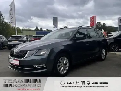Gebraucht Skoda Octavia Style 150 PS (110 kW) 2020 Grau Kombi
