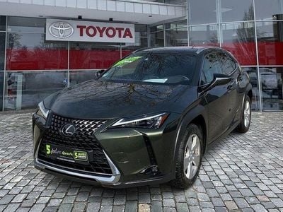 Gebraucht Lexus UX 250h 184 PS (135 kW) 2023 Terrane khaki SUV