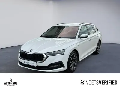Gebraucht Skoda Octavia Ambition 150 PS (110 kW) 2023 Weiß Kombi