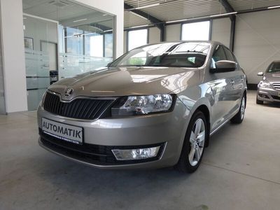 Grau Gebraucht 2014 Skoda Rapid Drive Kombi | 11.490 € (Etwas zu teuer)