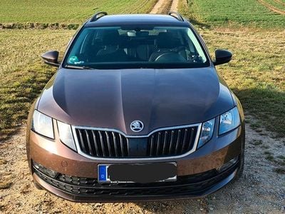 Gebraucht Skoda Octavia Drive 150 PS (110 kW) 2017 Braun Kombi