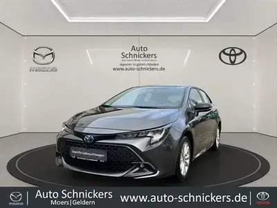 Gebraucht Toyota Corolla Business Edition 140 PS (102 kW) 2025 Marlingrau metallic
