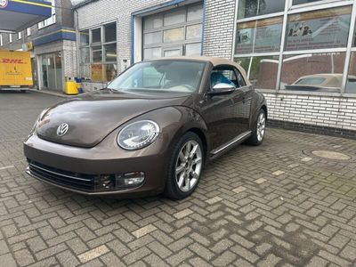 gebraucht VW Beetle New