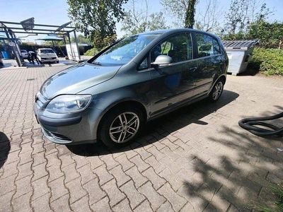 Usata VW Golf Plus Cross Comfortline 75 CV (55 kW) 2005 Grigio Monovolume